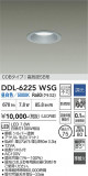 DAIKO ����ŵ� ������饤�� DDL-6225WSG�þ��ʾҲ�þ��������̿����䡦����ƥꥢ���������Ρڥ饤�ȥ��������