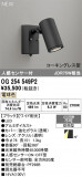 ODELIC �����ǥ�å� LED �������ƥꥢ�饤�� OG254549P2�þ��ʾҲ�þ��������̿����䡦����ƥꥢ���������Ρڥ饤�ȥ��������