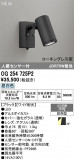 ODELIC �����ǥ�å� LED �������ƥꥢ�饤�� OG254725P2�þ��ʾҲ�þ��������̿����䡦����ƥꥢ���������Ρڥ饤�ȥ��������