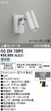 ODELIC �����ǥ�å� LED �������ƥꥢ�饤�� OG254726P2�þ��ʾҲ�þ��������̿����䡦����ƥꥢ���������Ρڥ饤�ȥ��������