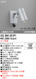 ODELIC �����ǥ�å� LED �������ƥꥢ�饤�� OG264221P1�þ��ʾҲ�þ��������̿����䡦����ƥꥢ���������Ρڥ饤�ȥ��������