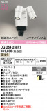 ODELIC �����ǥ�å� LED �������ƥꥢ�饤�� OG264258R1�þ��ʾҲ�þ��������̿����䡦����ƥꥢ���������Ρڥ饤�ȥ��������