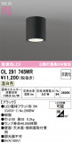 ODELIC �����ǥ�å� LED ����������󥰥饤�� OL291745WR�þ��ʾҲ�þ��������̿����䡦����ƥꥢ���������Ρڥ饤�ȥ��������