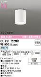 ODELIC �����ǥ�å� LED ����������󥰥饤�� OL291752NR�þ��ʾҲ�þ��������̿����䡦����ƥꥢ���������Ρڥ饤�ȥ��������