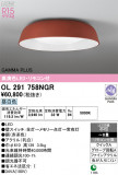 ODELIC �����ǥ�å� LED ������󥰥饤�� OL291758NGR�þ��ʾҲ�þ��������̿����䡦����ƥꥢ���������Ρڥ饤�ȥ��������