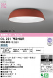 ODELIC �����ǥ�å� LED ������󥰥饤�� OL291759NGR�þ��ʾҲ�þ��������̿����䡦����ƥꥢ���������Ρڥ饤�ȥ��������