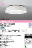 ODELIC �����ǥ�å� LED ������󥰥饤�� OL291762NGR�þ��ʾҲ�þ��������̿����䡦����ƥꥢ���������Ρڥ饤�ȥ��������