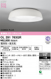 ODELIC �����ǥ�å� LED ������󥰥饤�� OL291763GR�þ��ʾҲ�þ��������̿����䡦����ƥꥢ���������Ρڥ饤�ȥ��������