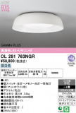 ODELIC �����ǥ�å� LED ������󥰥饤�� OL291763NGR�þ��ʾҲ�þ��������̿����䡦����ƥꥢ���������Ρڥ饤�ȥ��������