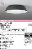 ODELIC �����ǥ�å� LED ������󥰥饤�� OL291765R�þ��ʾҲ�þ��������̿����䡦����ƥꥢ���������Ρڥ饤�ȥ��������