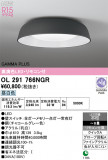 ODELIC �����ǥ�å� LED ������󥰥饤�� OL291766NGR�þ��ʾҲ�þ��������̿����䡦����ƥꥢ���������Ρڥ饤�ȥ��������