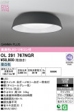 ODELIC �����ǥ�å� LED ������󥰥饤�� OL291767NGR�þ��ʾҲ�þ��������̿����䡦����ƥꥢ���������Ρڥ饤�ȥ��������