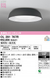 ODELIC �����ǥ�å� LED ������󥰥饤�� OL291767R�þ��ʾҲ�þ��������̿����䡦����ƥꥢ���������Ρڥ饤�ȥ��������