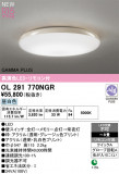 ODELIC �����ǥ�å� LED ������󥰥饤�� OL291770NGR�þ��ʾҲ�þ��������̿����䡦����ƥꥢ���������Ρڥ饤�ȥ��������