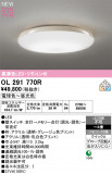 ODELIC �����ǥ�å� LED ������󥰥饤�� OL291770R�þ��ʾҲ�þ��������̿����䡦����ƥꥢ���������Ρڥ饤�ȥ��������