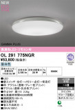 ODELIC �����ǥ�å� LED ������󥰥饤�� OL291775NGR�þ��ʾҲ�þ��������̿����䡦����ƥꥢ���������Ρڥ饤�ȥ��������