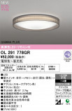 ODELIC �����ǥ�å� LED ������󥰥饤�� OL291778GR�þ��ʾҲ�þ��������̿����䡦����ƥꥢ���������Ρڥ饤�ȥ��������