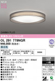 ODELIC �����ǥ�å� LED ������󥰥饤�� OL291779NGR�þ��ʾҲ�þ��������̿����䡦����ƥꥢ���������Ρڥ饤�ȥ��������
