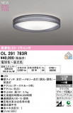ODELIC �����ǥ�å� LED ������󥰥饤�� OL291783R�þ��ʾҲ�þ��������̿����䡦����ƥꥢ���������Ρڥ饤�ȥ��������