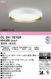 ODELIC �����ǥ�å� LED ������󥰥饤�� OL291787GR�þ��ʾҲ�þ��������̿����䡦����ƥꥢ���������Ρڥ饤�ȥ��������