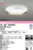 ODELIC �����ǥ�å� LED ������󥰥饤�� OL291787NGR�þ��ʾҲ�þ��������̿����䡦����ƥꥢ���������Ρڥ饤�ȥ��������