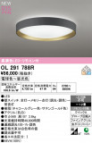 ODELIC �����ǥ�å� LED ������󥰥饤�� OL291788R�þ��ʾҲ�þ��������̿����䡦����ƥꥢ���������Ρڥ饤�ȥ��������