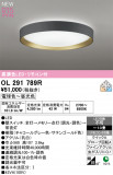 ODELIC �����ǥ�å� LED ������󥰥饤�� OL291789R�þ��ʾҲ�þ��������̿����䡦����ƥꥢ���������Ρڥ饤�ȥ��������