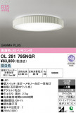 ODELIC �����ǥ�å� LED ������󥰥饤�� OL291795NGR�þ��ʾҲ�þ��������̿����䡦����ƥꥢ���������Ρڥ饤�ȥ��������