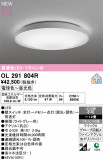 ODELIC �����ǥ�å� LED ������󥰥饤�� OL291804R�þ��ʾҲ�þ��������̿����䡦����ƥꥢ���������Ρڥ饤�ȥ��������