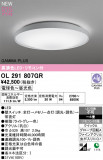 ODELIC �����ǥ�å� LED ������󥰥饤�� OL291807GR�þ��ʾҲ�þ��������̿����䡦����ƥꥢ���������Ρڥ饤�ȥ��������