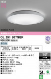 ODELIC �����ǥ�å� LED ������󥰥饤�� OL291807NGR�þ��ʾҲ�þ��������̿����䡦����ƥꥢ���������Ρڥ饤�ȥ��������