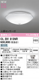 ODELIC �����ǥ�å� LED ����������󥰥饤�� OL291813NR�þ��ʾҲ�þ��������̿����䡦����ƥꥢ���������Ρڥ饤�ȥ��������