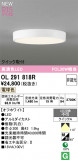ODELIC �����ǥ�å� LED ����������󥰥饤�� OL291818R�þ��ʾҲ�þ��������̿����䡦����ƥꥢ���������Ρڥ饤�ȥ��������