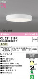 ODELIC �����ǥ�å� LED ����������󥰥饤�� OL291819R�þ��ʾҲ�þ��������̿����䡦����ƥꥢ���������Ρڥ饤�ȥ��������