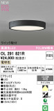 ODELIC �����ǥ�å� LED ����������󥰥饤�� OL291821R�þ��ʾҲ�þ��������̿����䡦����ƥꥢ���������Ρڥ饤�ȥ��������
