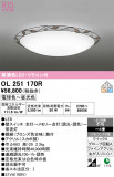ODELIC �����ǥ�å� LED ������󥰥饤�� OL251170R�þ��ʾҲ�þ��������̿����䡦����ƥꥢ���������Ρڥ饤�ȥ��������