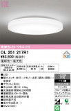 ODELIC �����ǥ�å� LED ������󥰥饤�� OL251217R1�þ��ʾҲ�þ��������̿����䡦����ƥꥢ���������Ρڥ饤�ȥ��������
