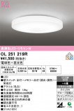 ODELIC �����ǥ�å� LED ������󥰥饤�� OL251219R�þ��ʾҲ�þ��������̿����䡦����ƥꥢ���������Ρڥ饤�ȥ��������