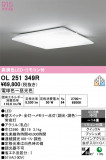 ODELIC �����ǥ�å� LED ������󥰥饤�� OL251349R�þ��ʾҲ�þ��������̿����䡦����ƥꥢ���������Ρڥ饤�ȥ��������