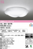 ODELIC �����ǥ�å� LED ������󥰥饤�� OL251527R�þ��ʾҲ�þ��������̿����䡦����ƥꥢ���������Ρڥ饤�ȥ��������
