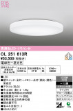 ODELIC �����ǥ�å� LED ������󥰥饤�� OL251613R�þ��ʾҲ�þ��������̿����䡦����ƥꥢ���������Ρڥ饤�ȥ��������