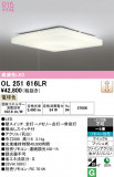 ODELIC �����ǥ�å� LED ������󥰥饤�� OL251616LR�þ��ʾҲ�þ��������̿����䡦����ƥꥢ���������Ρڥ饤�ȥ��������