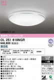 ODELIC �����ǥ�å� LED ������󥰥饤�� OL251618NGR�þ��ʾҲ�þ��������̿����䡦����ƥꥢ���������Ρڥ饤�ȥ��������