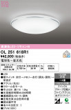 ODELIC �����ǥ�å� LED ������󥰥饤�� OL251618R1�þ��ʾҲ�þ��������̿����䡦����ƥꥢ���������Ρڥ饤�ȥ��������