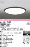 ODELIC �����ǥ�å� LED ������󥰥饤�� OL251619R�þ��ʾҲ�þ��������̿����䡦����ƥꥢ���������Ρڥ饤�ȥ��������