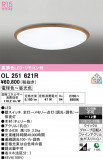 ODELIC �����ǥ�å� LED ������󥰥饤�� OL251621R�þ��ʾҲ�þ��������̿����䡦����ƥꥢ���������Ρڥ饤�ȥ��������