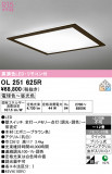 ODELIC �����ǥ�å� LED ������󥰥饤�� OL251625R�þ��ʾҲ�þ��������̿����䡦����ƥꥢ���������Ρڥ饤�ȥ��������