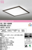 ODELIC �����ǥ�å� LED ������󥰥饤�� OL251626R�þ��ʾҲ�þ��������̿����䡦����ƥꥢ���������Ρڥ饤�ȥ��������