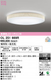ODELIC �����ǥ�å� LED ������󥰥饤�� OL251669R�þ��ʾҲ�þ��������̿����䡦����ƥꥢ���������Ρڥ饤�ȥ��������