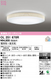ODELIC �����ǥ�å� LED ������󥰥饤�� OL251670R�þ��ʾҲ�þ��������̿����䡦����ƥꥢ���������Ρڥ饤�ȥ��������